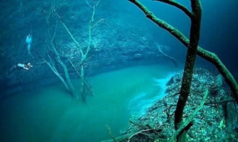 Fluvii si rauri cu albii de-a lungul platoului continental, sub fundul marilor si oceanelor