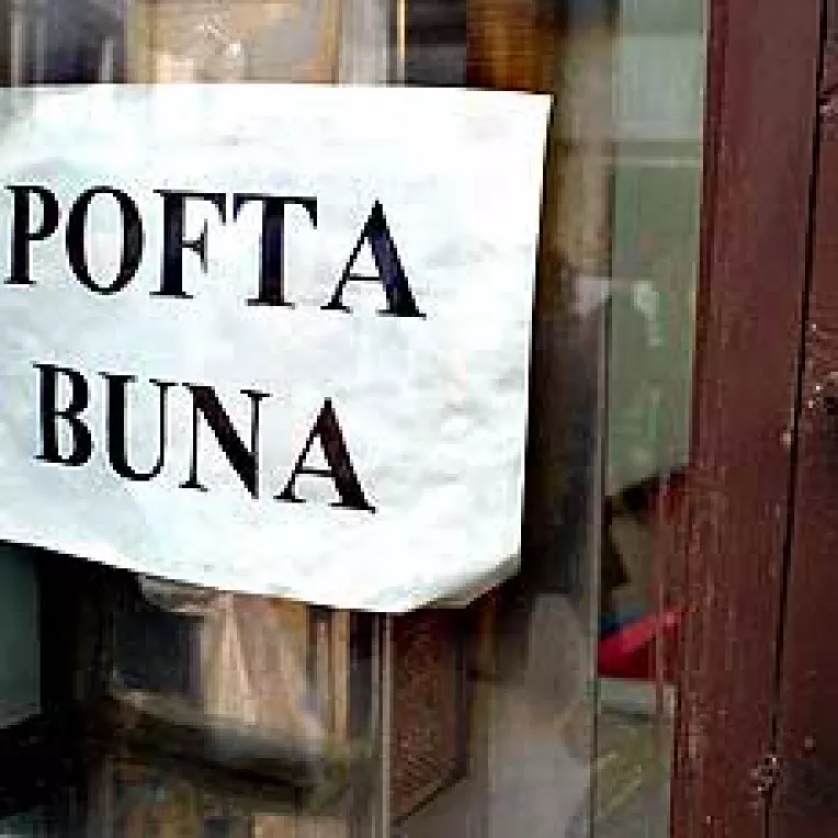 Inspectorii Garzii Financiare si-au petrecut noptile prin baruri