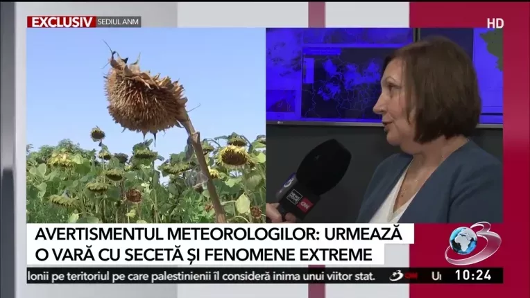 Meteorologii au anuntat cum va fi vremea in vara 2023.