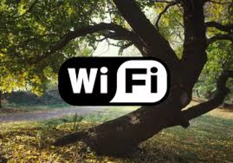 Sectorul 1 Bucuresti: Retea gratuita de wireless in 4 parcuri: Kiseleff, Bazilescu, Venus si Regina Maria