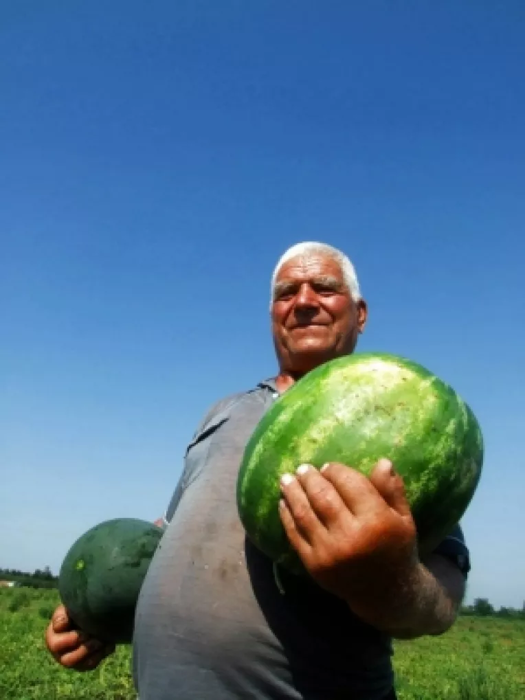 Traian Basescu ii jigneste pe locuitorii orasului Dabuleni, etichetandu-i "bostanari"