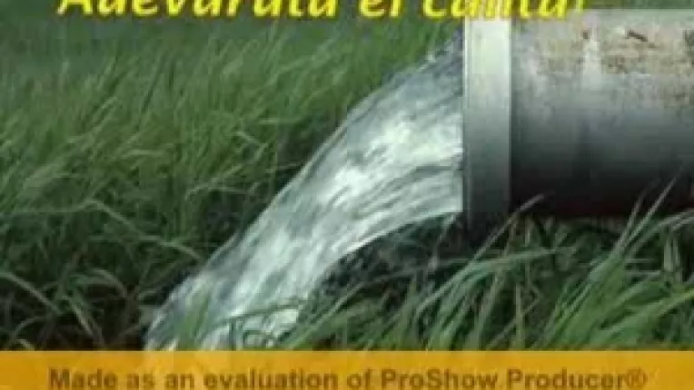 Traian Basescu la B1TV (6): "Prioritatile Romaniei sunt infrastructura, mediul - indiguirea marilor rauri - si combaterea poluarii"